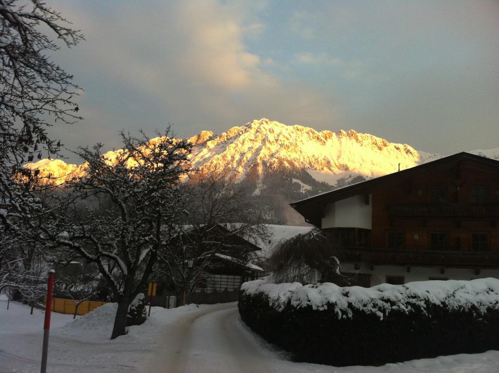 Appartementhaus Zum Schneider Scheffau am Wilden Kaiser Extérieur photo